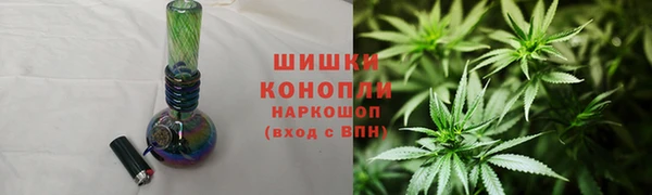 прущие грибы Навашино