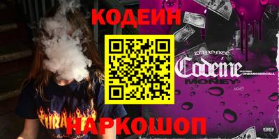 стафф Кингисепп