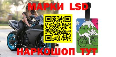 стафф Кингисепп