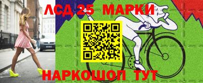 стафф Кингисепп