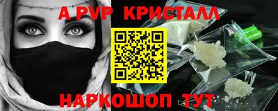 стафф Кингисепп