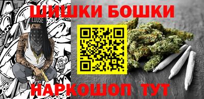 стафф Кингисепп
