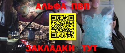стафф Кингисепп