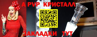стафф Кингисепп