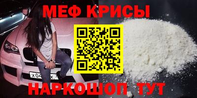 стафф Кингисепп