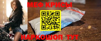 стафф Кингисепп