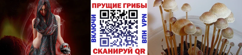 закладки  kraken ТОР  Галлюциногенные грибы мухоморы  Кострома 