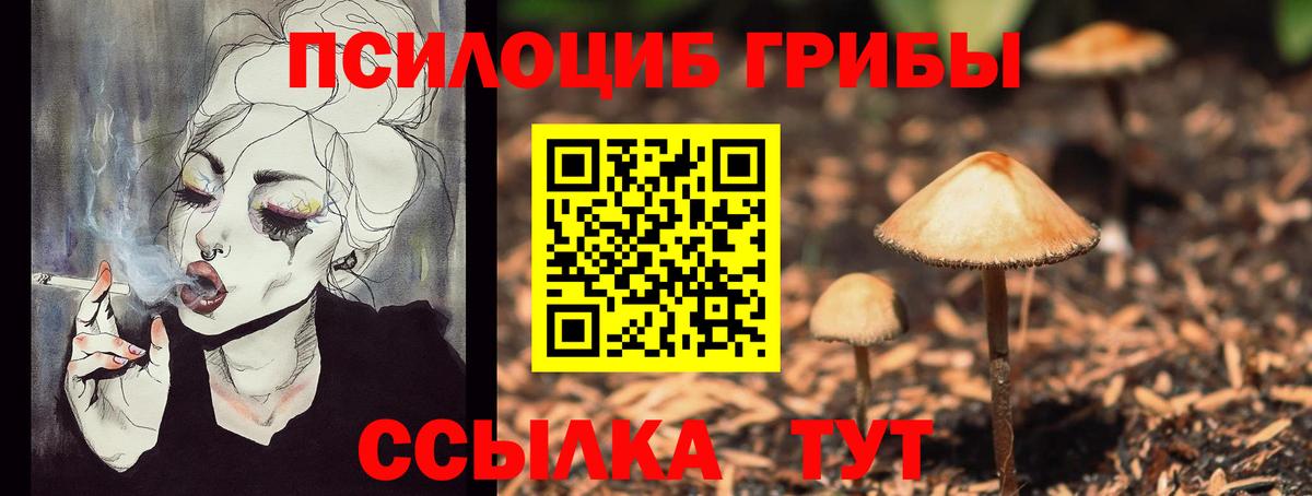 Кострома  Псилоцибиновые грибы ЛСД  Вход с VPN  Галлюциногенные грибы ЛСД 