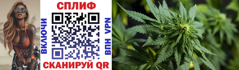 где продают   Кострома  Каннабис SATIVA & INDICA 